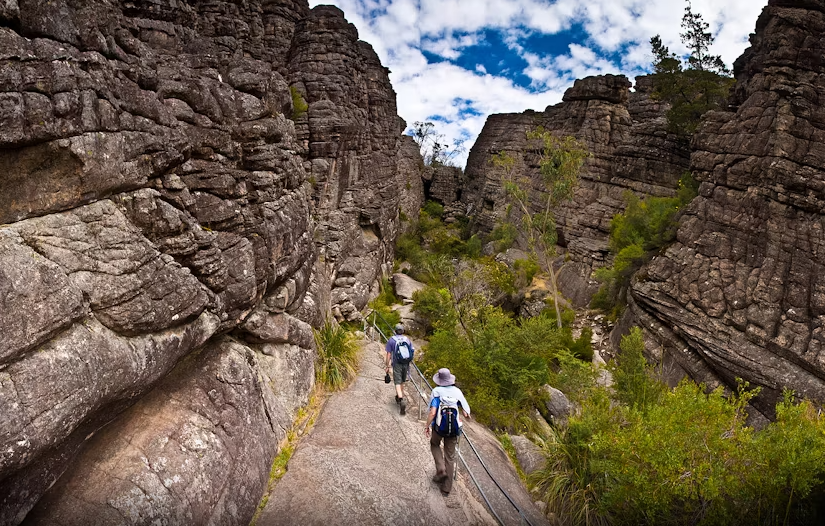 Grampians National Park Small-Group Full-Day Tour - Image 2